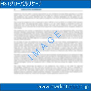 市場と産業調査レポートのイメージ
